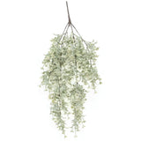 White Lavender Hanging Bush