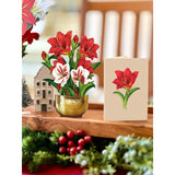 Fresh Cut Mini Scarlet Amaryllis