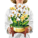 Fresh Cut Serenity Orchid