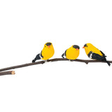 Goldfinch Bird Clip