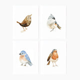 Birds Notecard Set