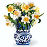 Fresh Cut English Daffodils