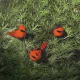 Cardinal Bird Clip