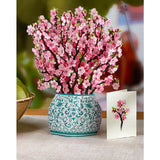 FreshCut Cherry Blossom
