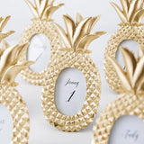 Mini Pineapple frame