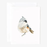 Birds Notecard Set
