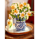 Fresh Cut English Daffodils