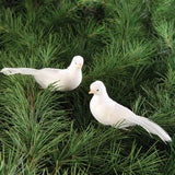 Dove Clip