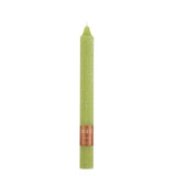 Root 9" Lime