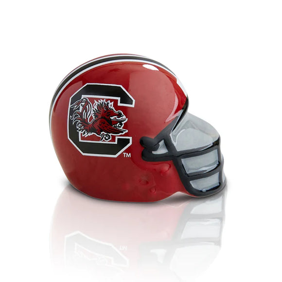 A319 South Carolina Helmet