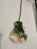 Pink Rose Bundle