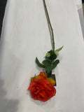 Orange Long Stem Roses