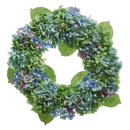 Wreath Hydrangea