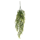 Baby's Hanging Grass Bush