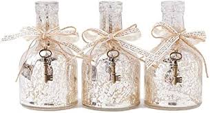 Mercury Glass Bottle