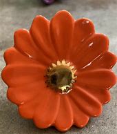 A248 Orange Gerber Daisy