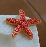 A66 Starfish
